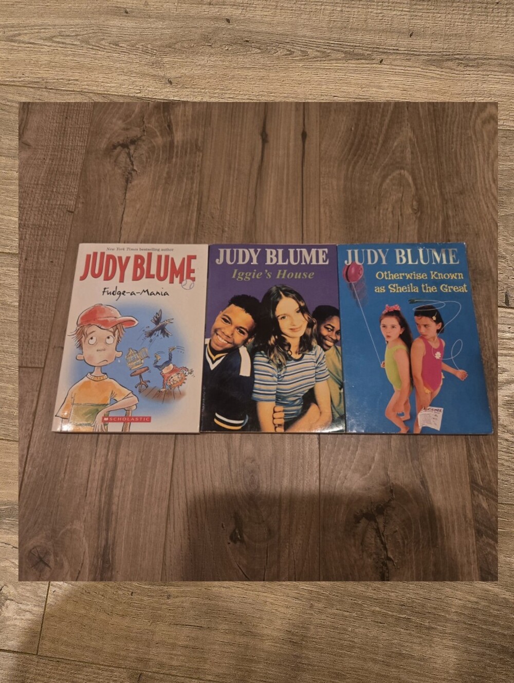 Vintage Fudge #2, 4 & IGGY'S HOUSE BY JUDY BLUME 3 Book Set Summer Reading R.L 4